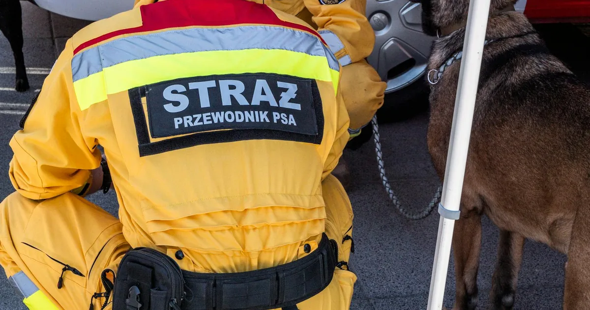Wiertło do metalu — jakie wybrać? Kompletny przewodnik po klasyfikacji